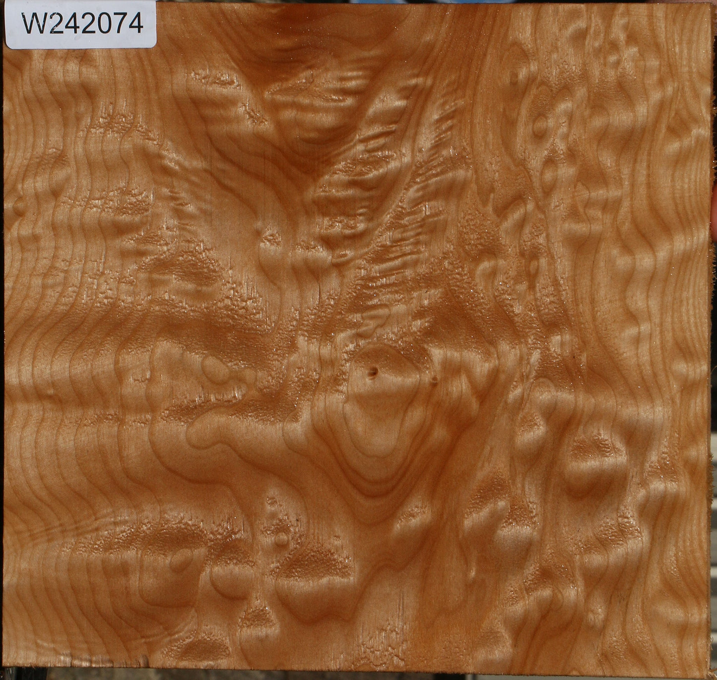 AAA Quilted Maple Lumber