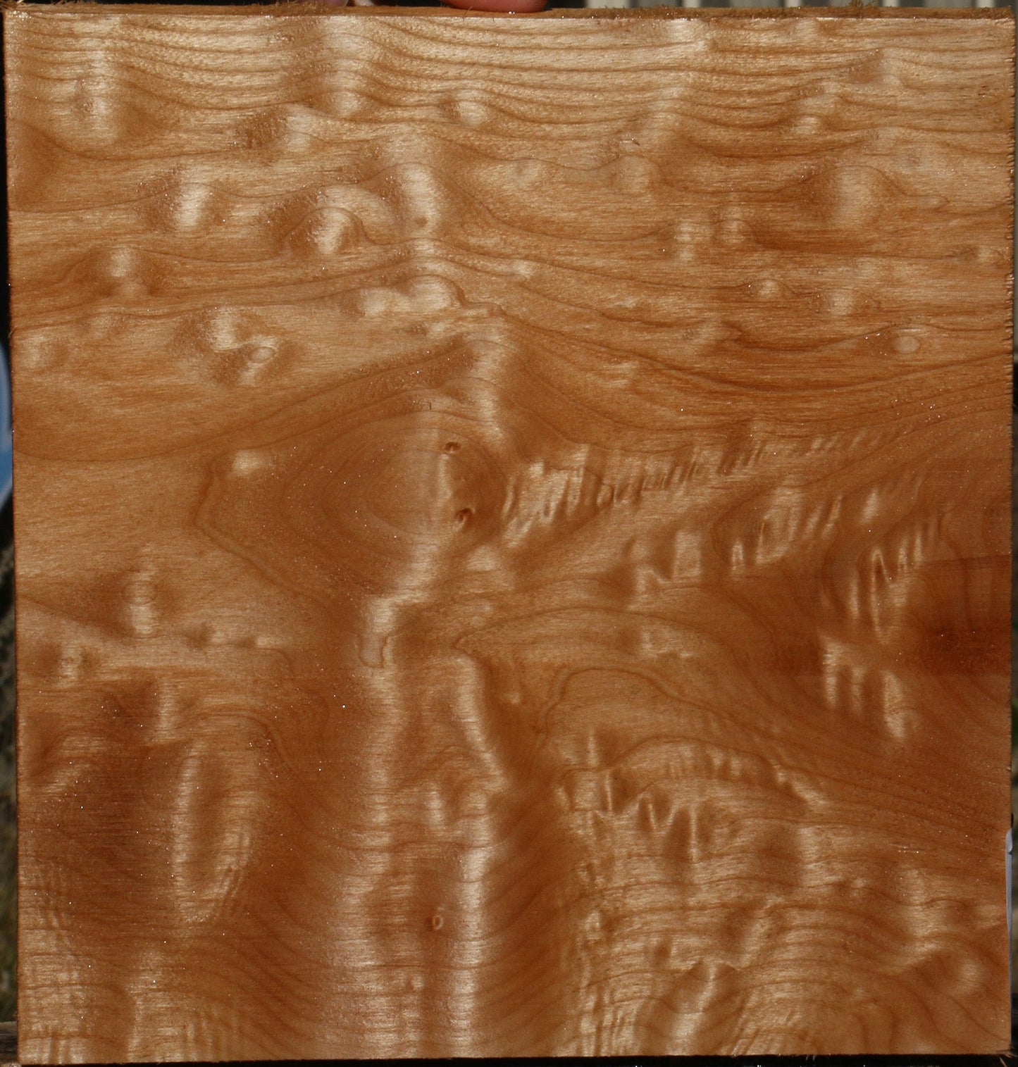 AAA Quilted Maple Lumber