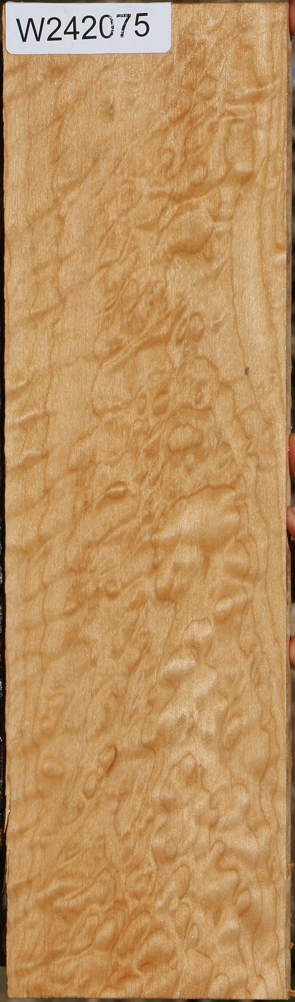 AAAA Quilted Maple Lumber