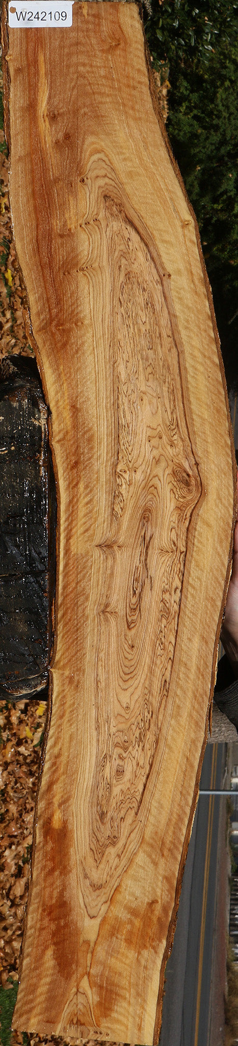 Extra Fancy African Olive Live Edge Lumber