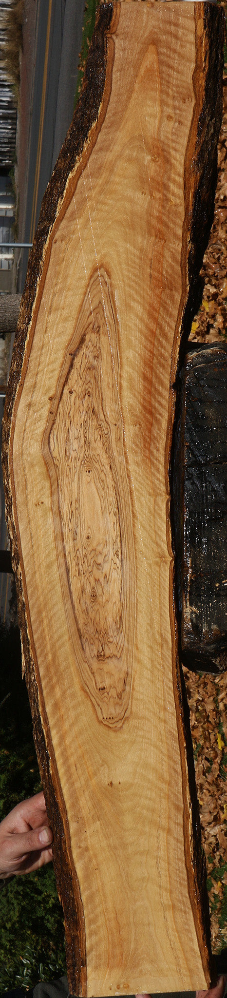 Extra Fancy African Olive Live Edge Lumber