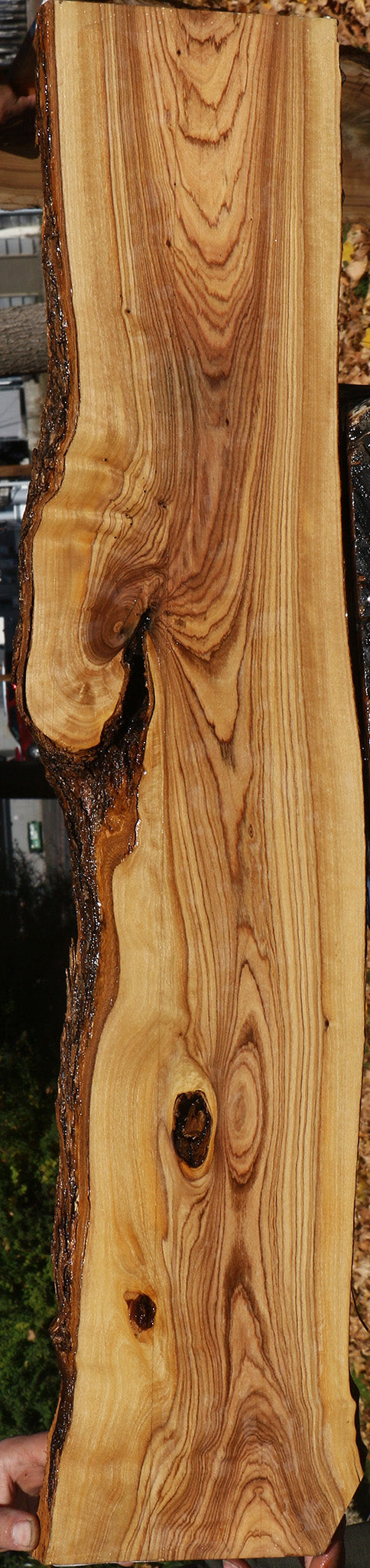 Figured African Olive Live Edge Lumber