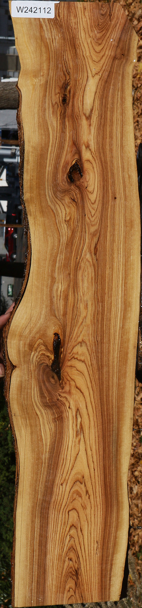Figured African Olive Live Edge Lumber