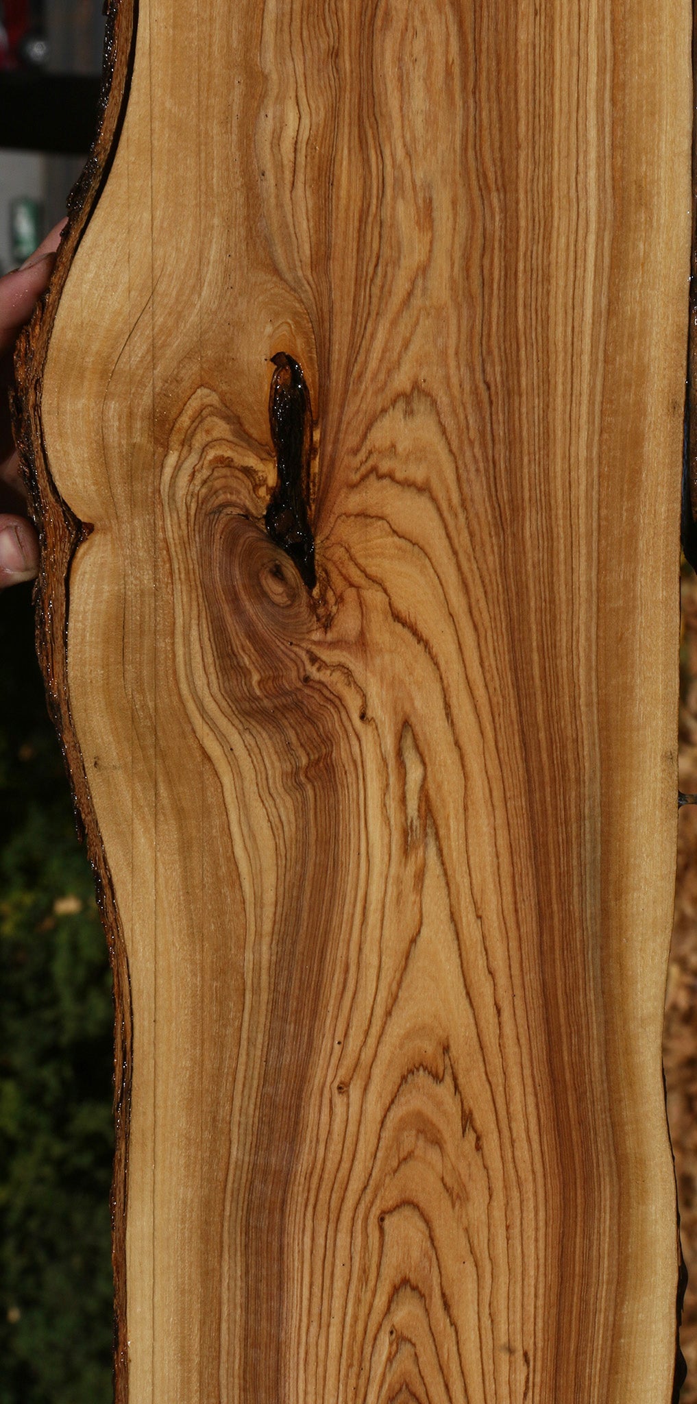 Figured African Olive Live Edge Lumber