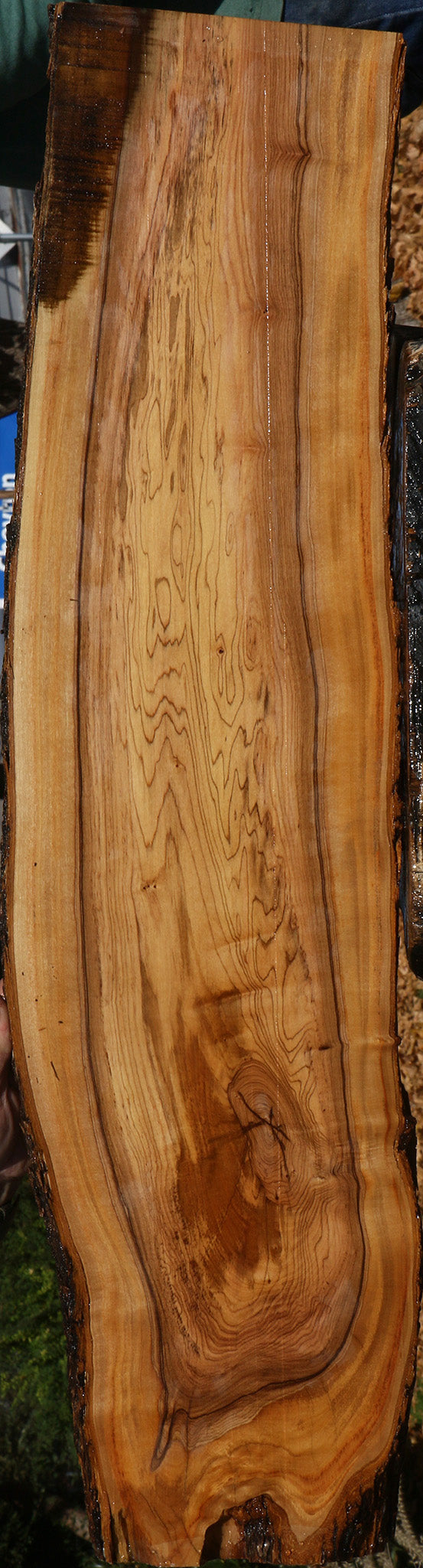 Extra Fancy African Olive Live Edge Lumber