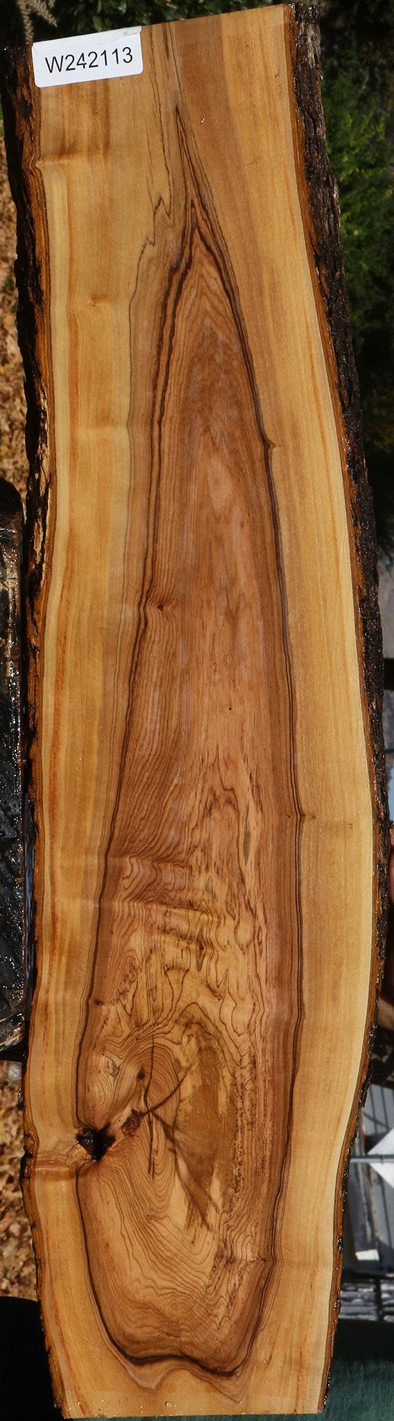Extra Fancy African Olive Live Edge Lumber
