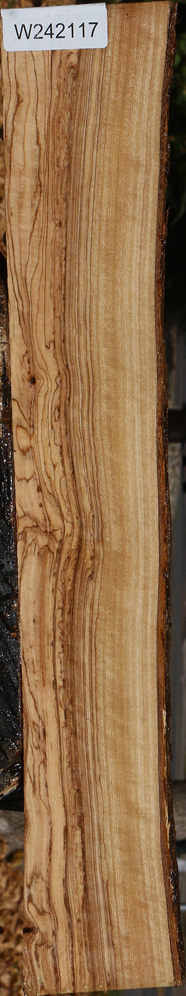 Figured African Olive Live Edge Lumber