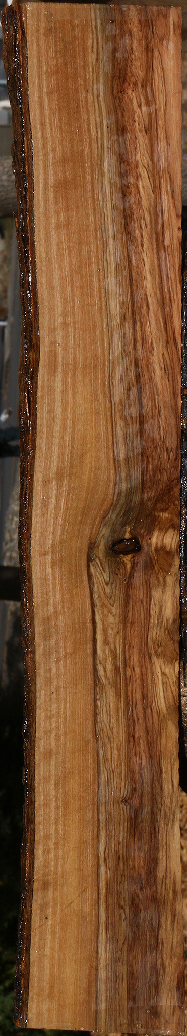 Figured African Olive Live Edge Lumber