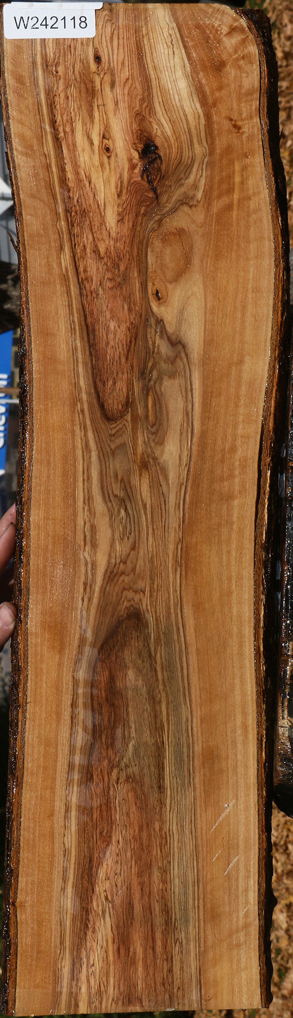 Extra Fancy African Olive Live Edge Lumber