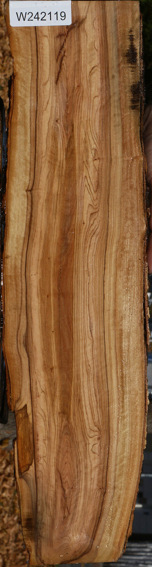African Olive Live Edge Lumber