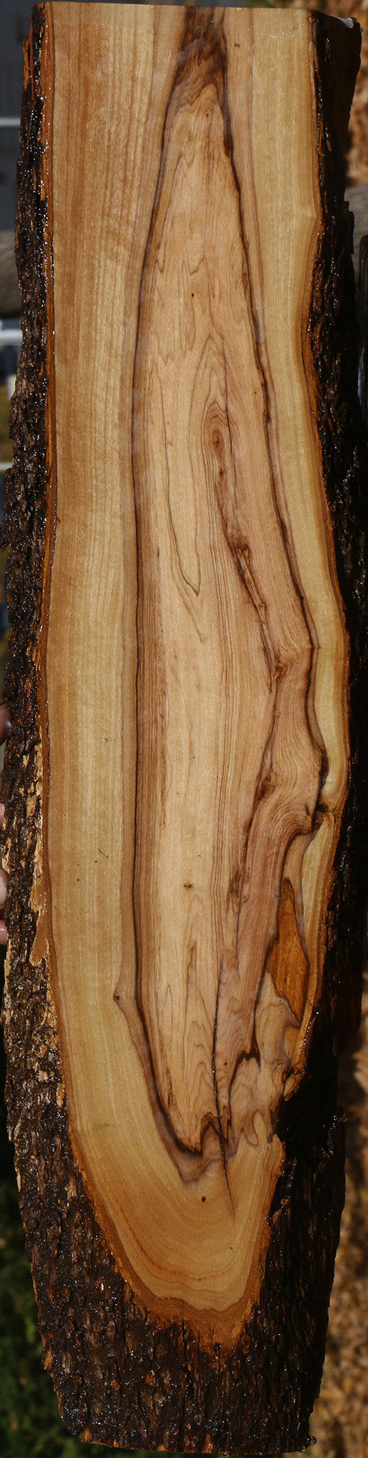 African Olive Live Edge Lumber