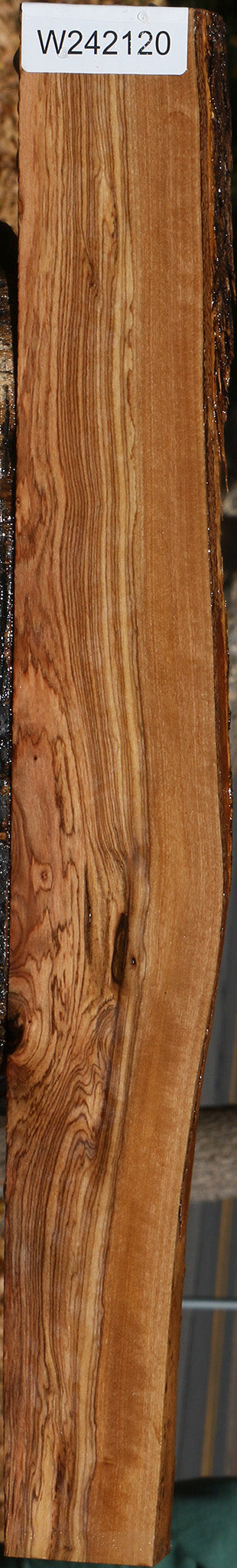 Figured African Olive Live Edge Lumber