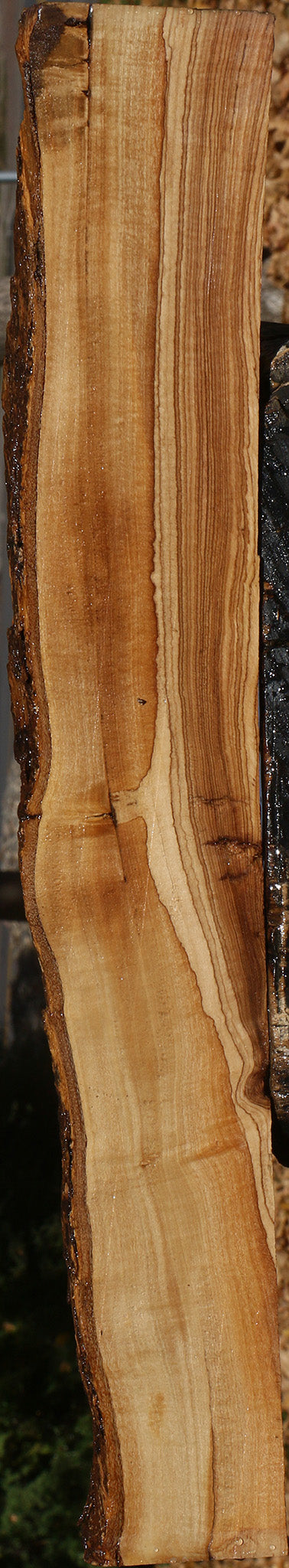 Extra Fancy African Olive Live Edge Lumber