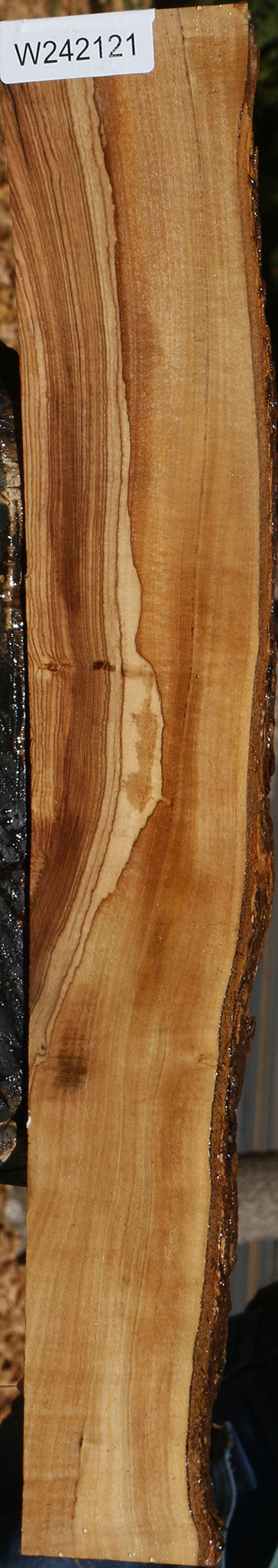 Extra Fancy African Olive Live Edge Lumber