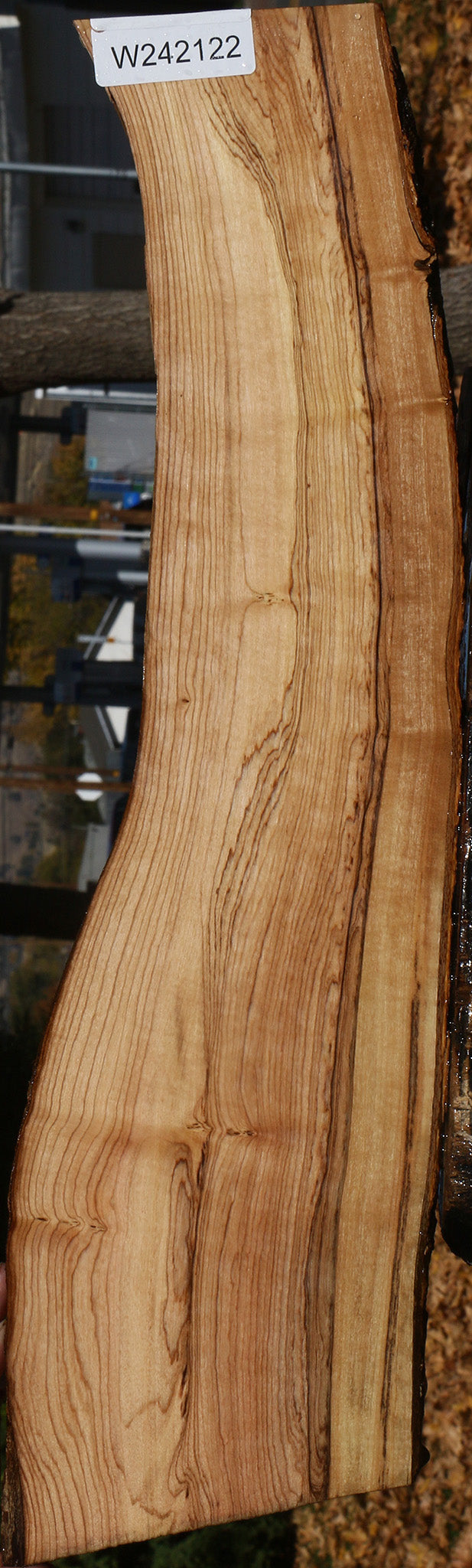 Figured African Olive Live Edge Lumber