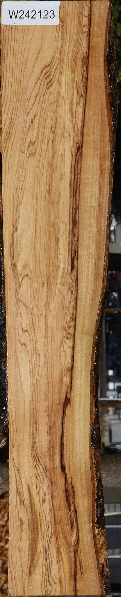 Figured African Olive Live Edge Lumber