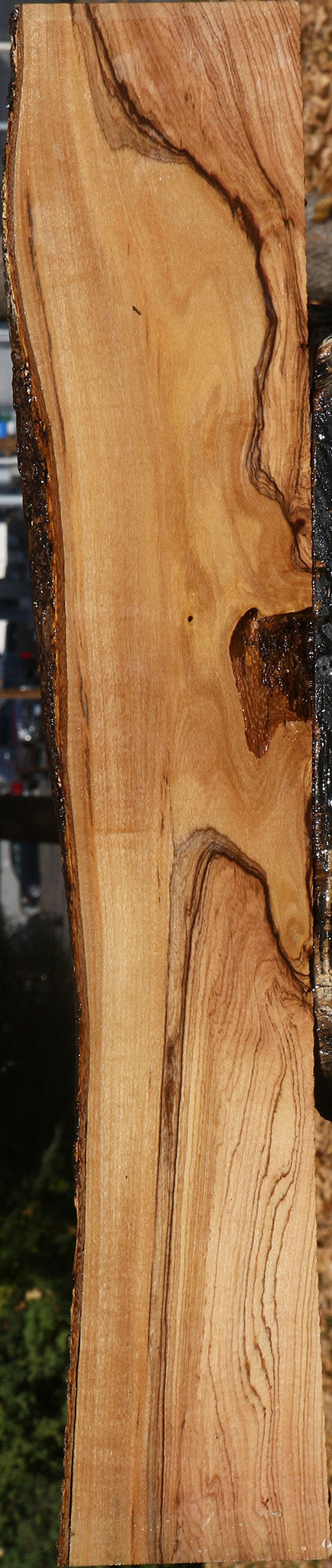 Figured African Olive Live Edge Lumber