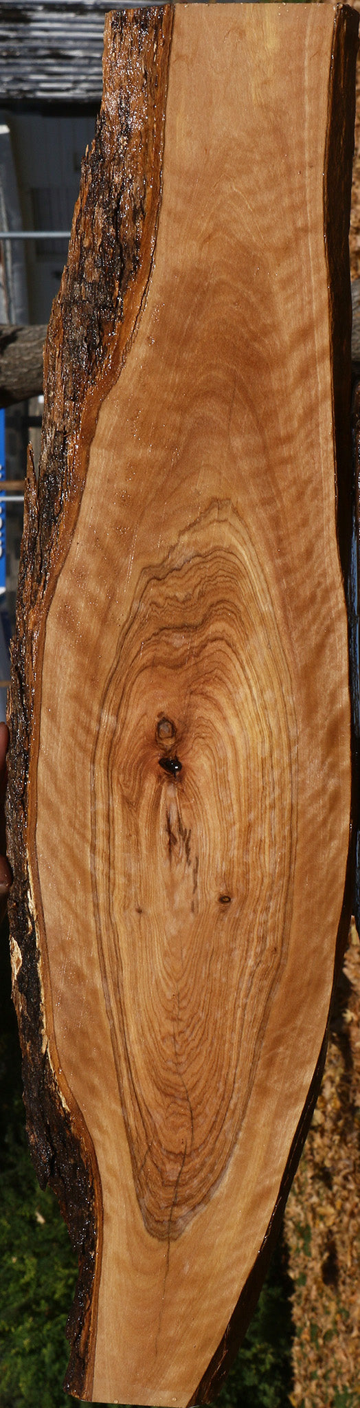 Extra Fancy African Olive Live Edge Lumber