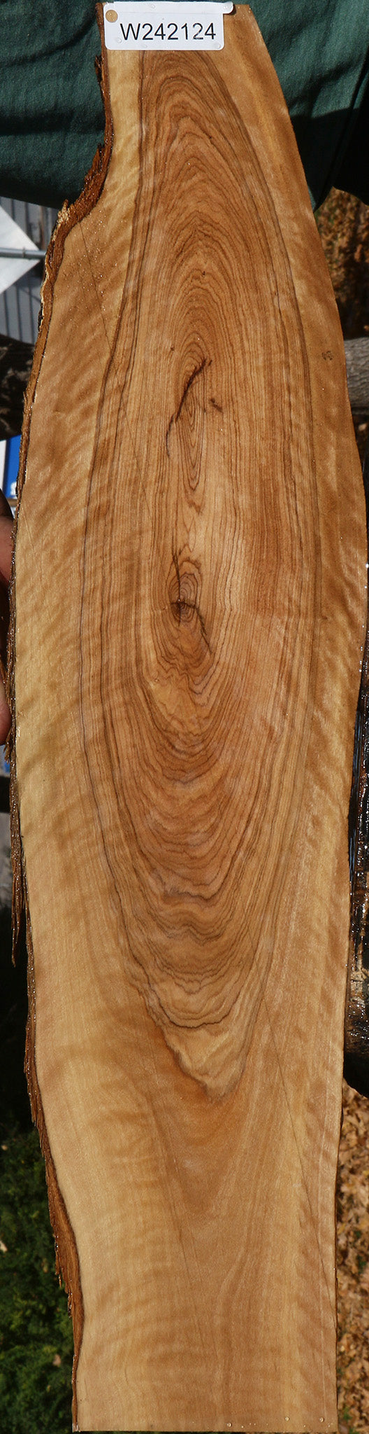 Extra Fancy African Olive Live Edge Lumber