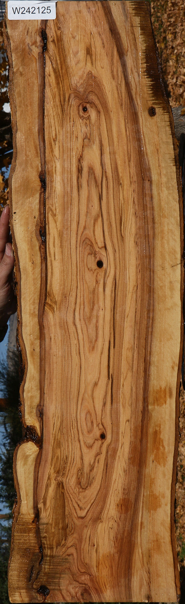 Extra Fancy African Olive Live Edge Lumber