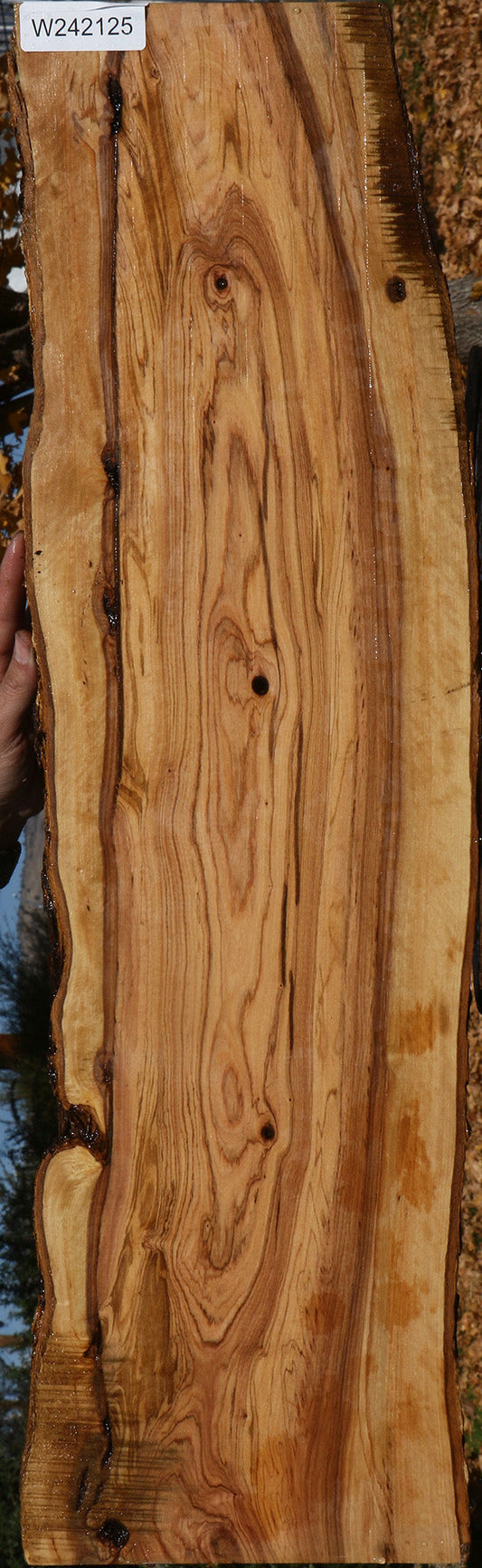 Extra Fancy African Olive Live Edge Lumber