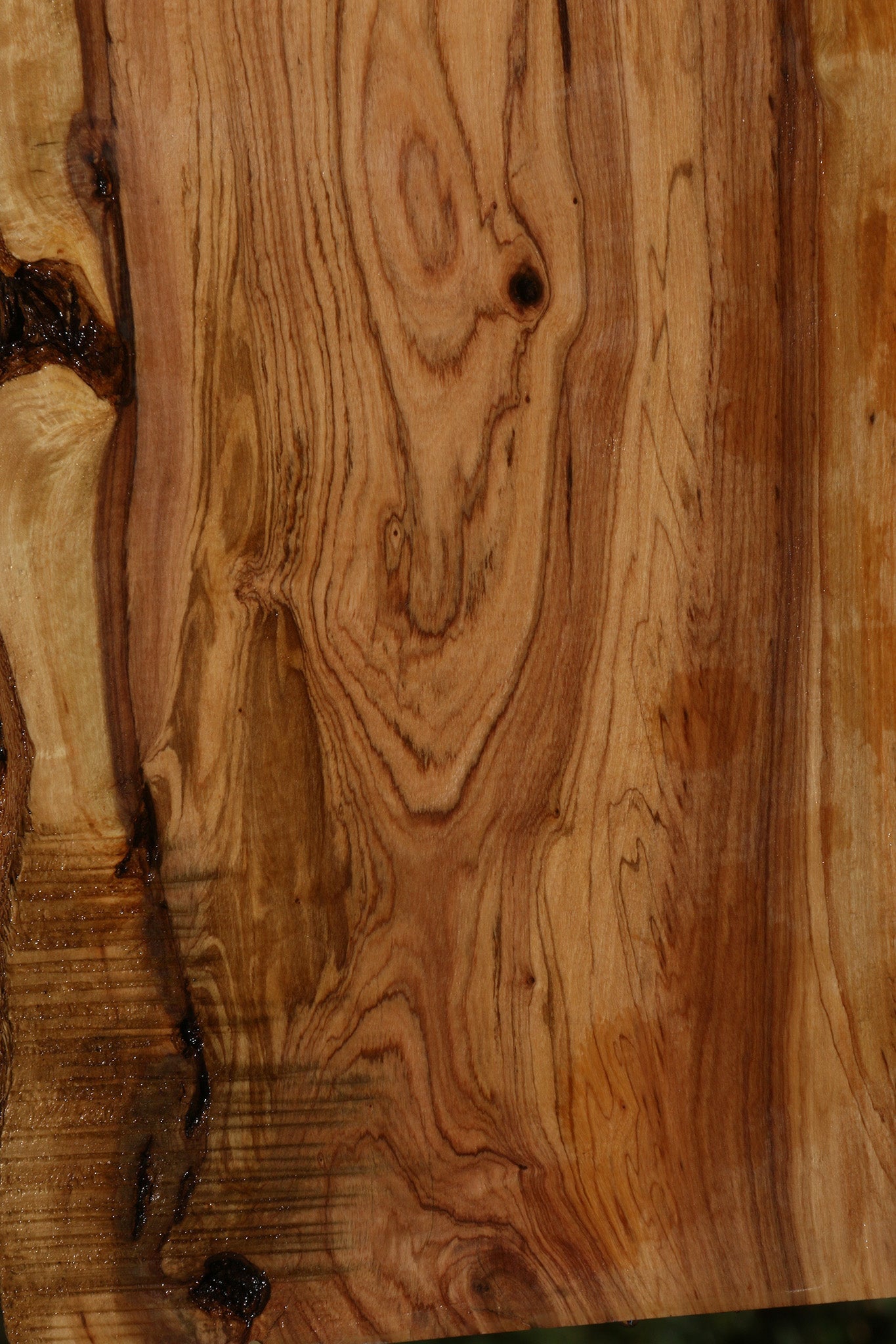 Extra Fancy African Olive Live Edge Lumber