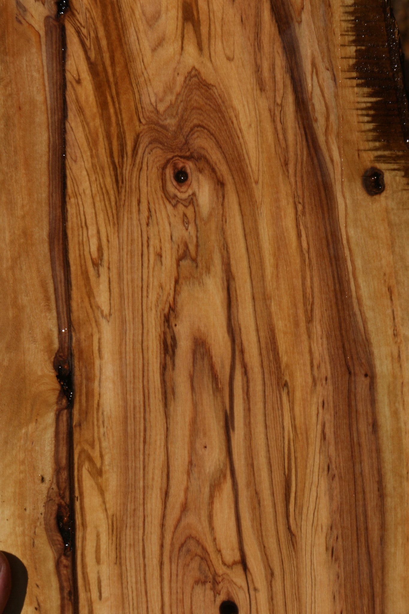 Extra Fancy African Olive Live Edge Lumber