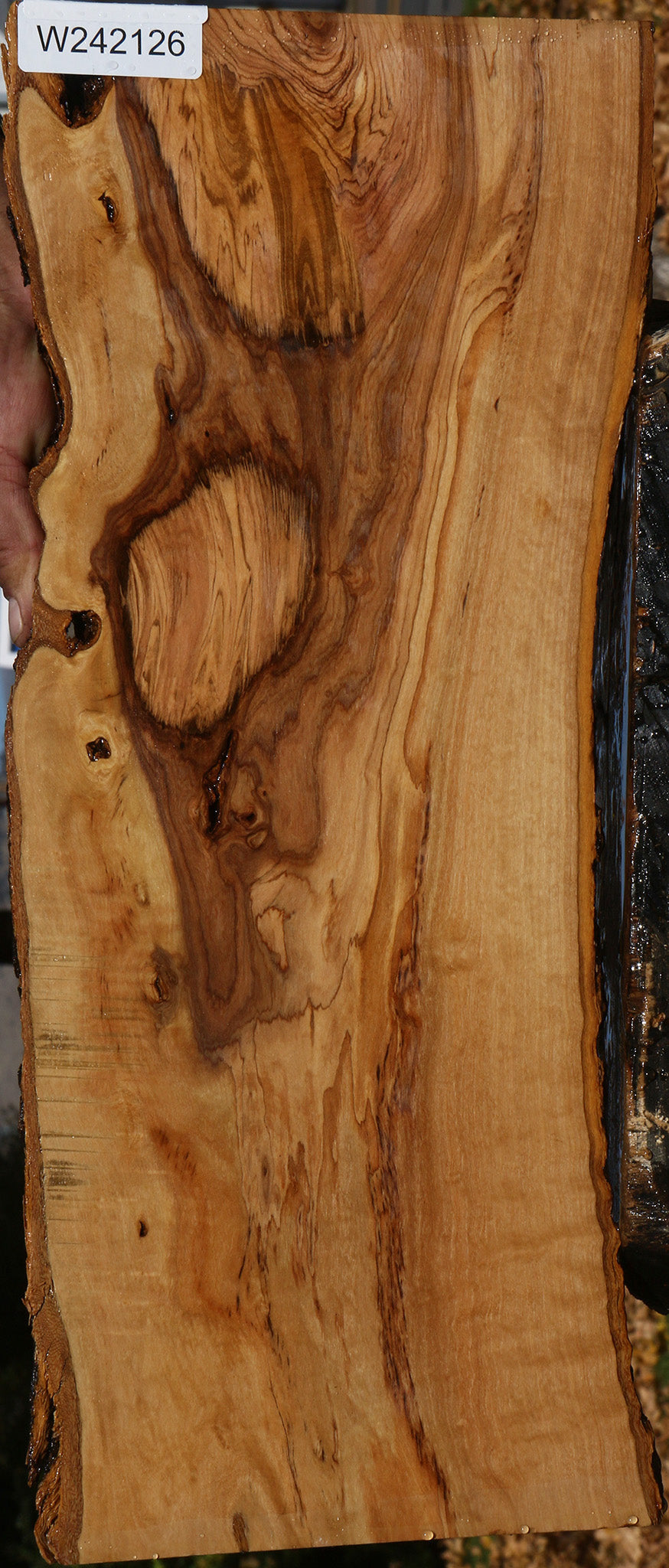 Figured African Olive Live Edge Lumber