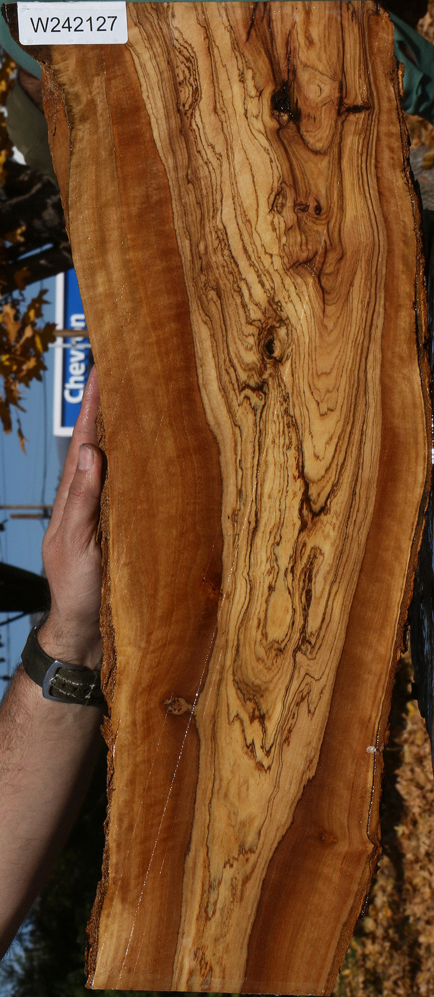 Extra Fancy African Olive Live Edge Lumber