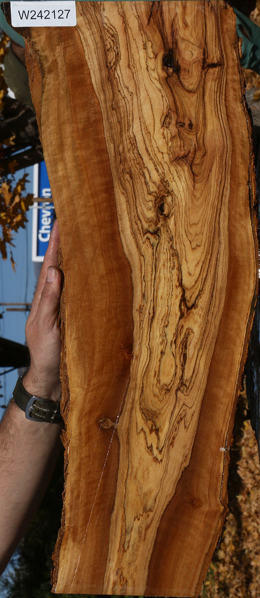 Extra Fancy African Olive Live Edge Lumber