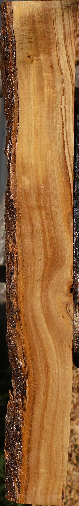 African Olive Live Edge Lumber