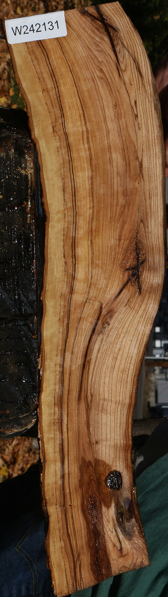 Rustic African Olive Live Edge Lumber