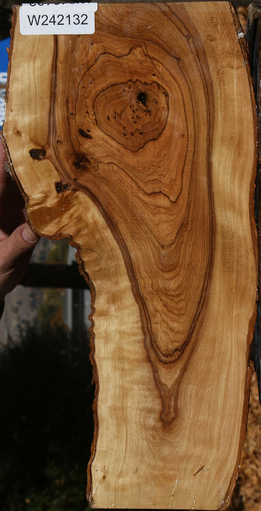 Figured African Olive Live Edge Lumber