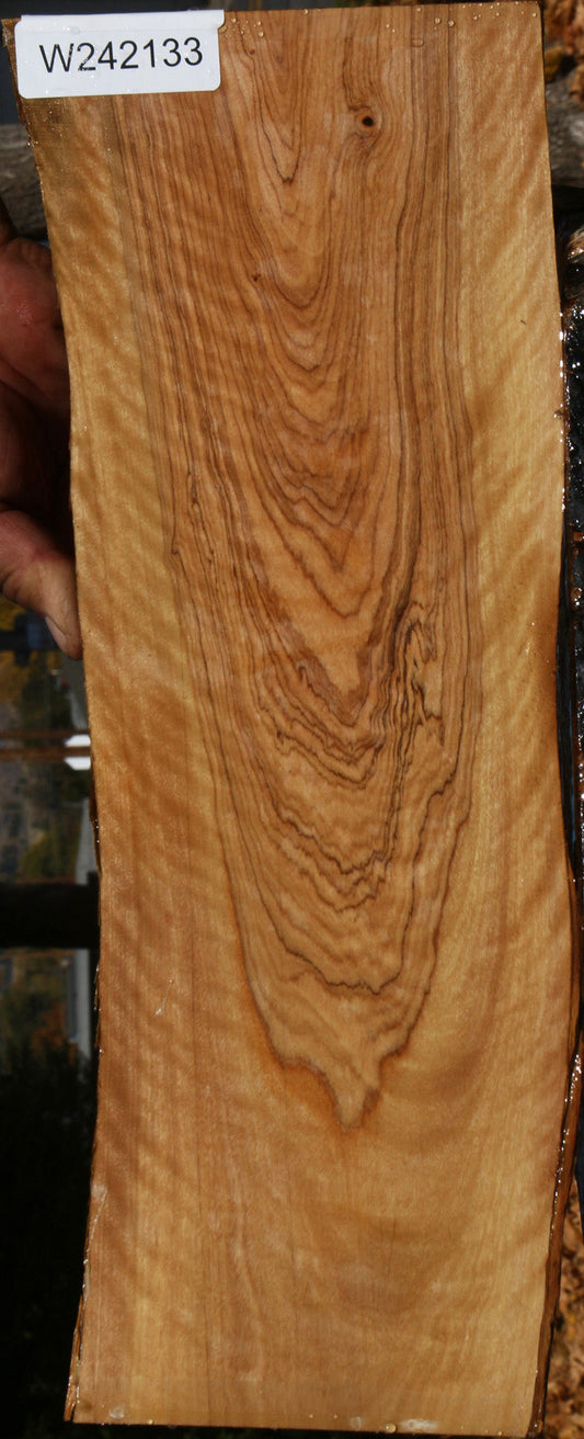 Extra Fancy African Olive Live Edge Lumber