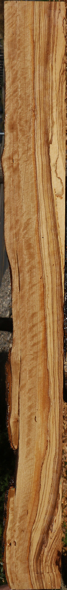 Extra Fancy African Olive Live Edge Lumber