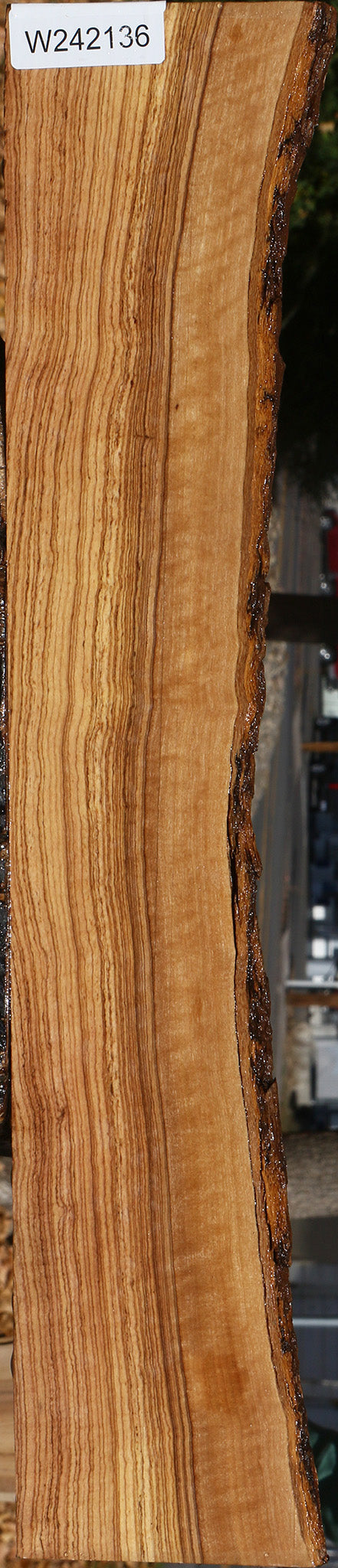 Extra Fancy African Olive Live Edge Lumber