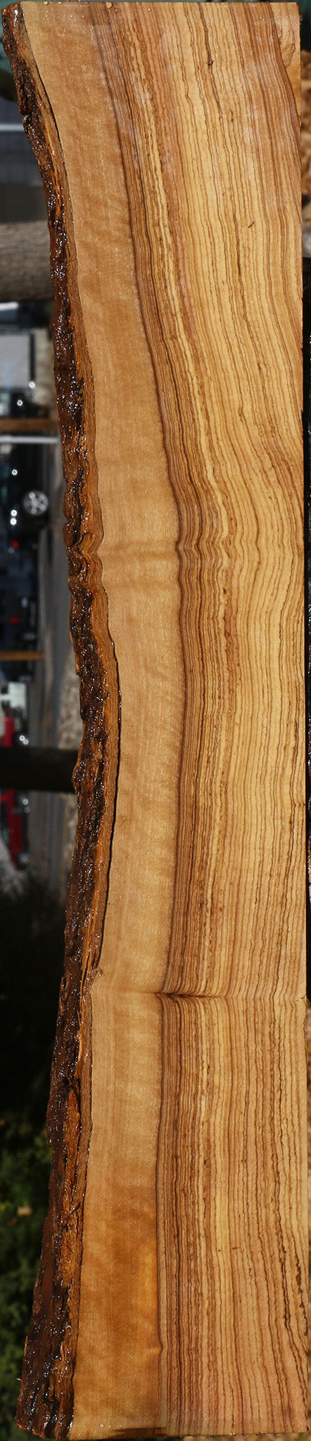 Extra Fancy African Olive Live Edge Lumber