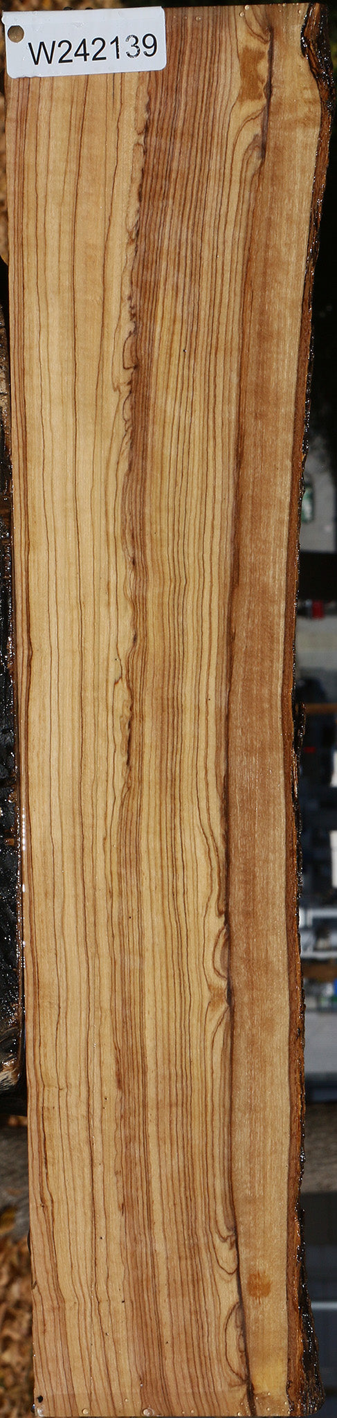 Extra Fancy African Olive Live Edge Lumber