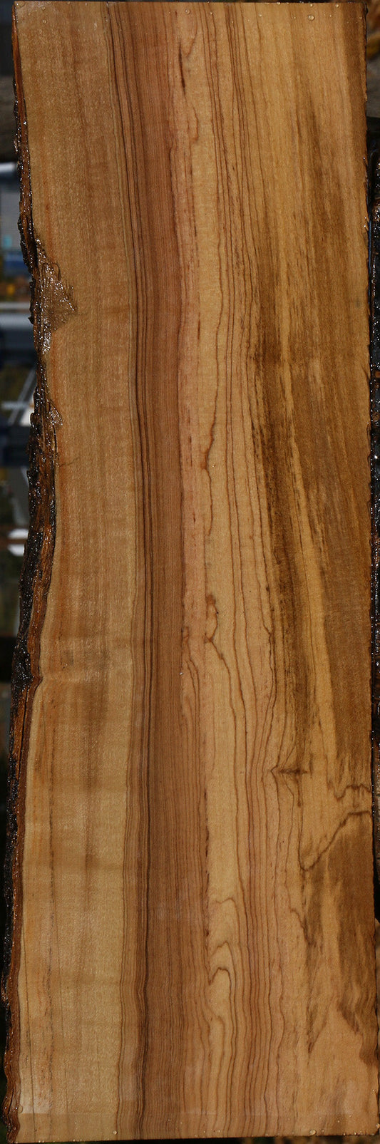 Extra Fancy African Olive Live Edge Lumber