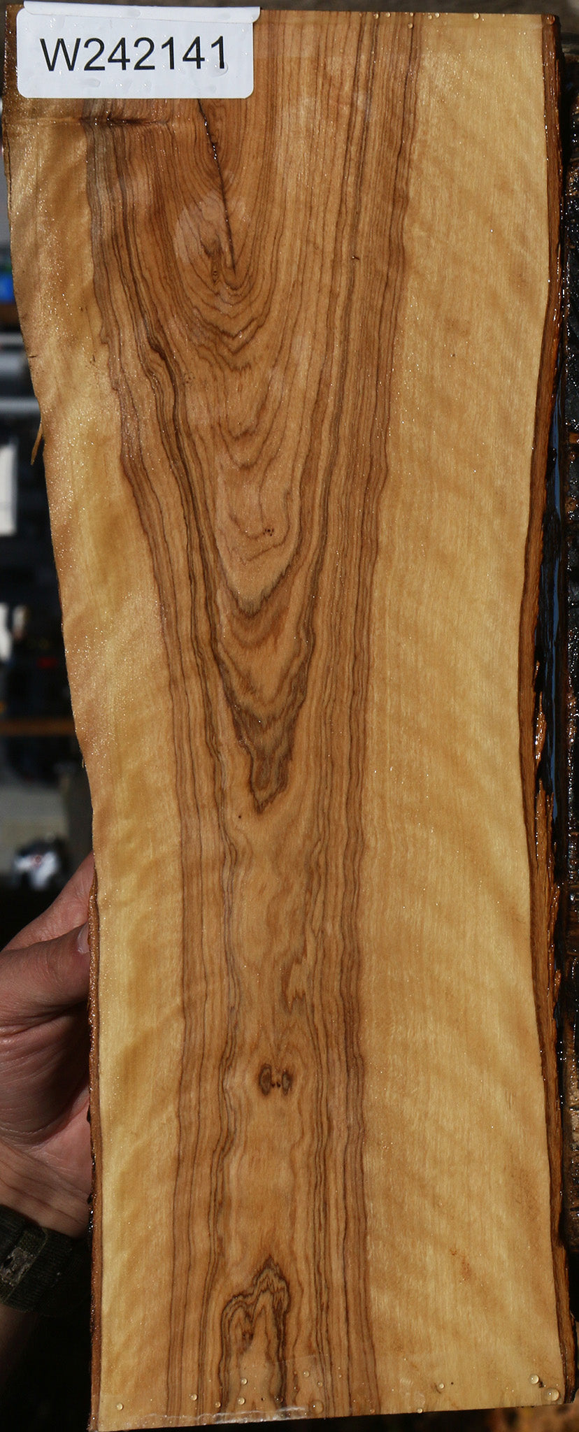 Figured African Olive Live Edge Lumber