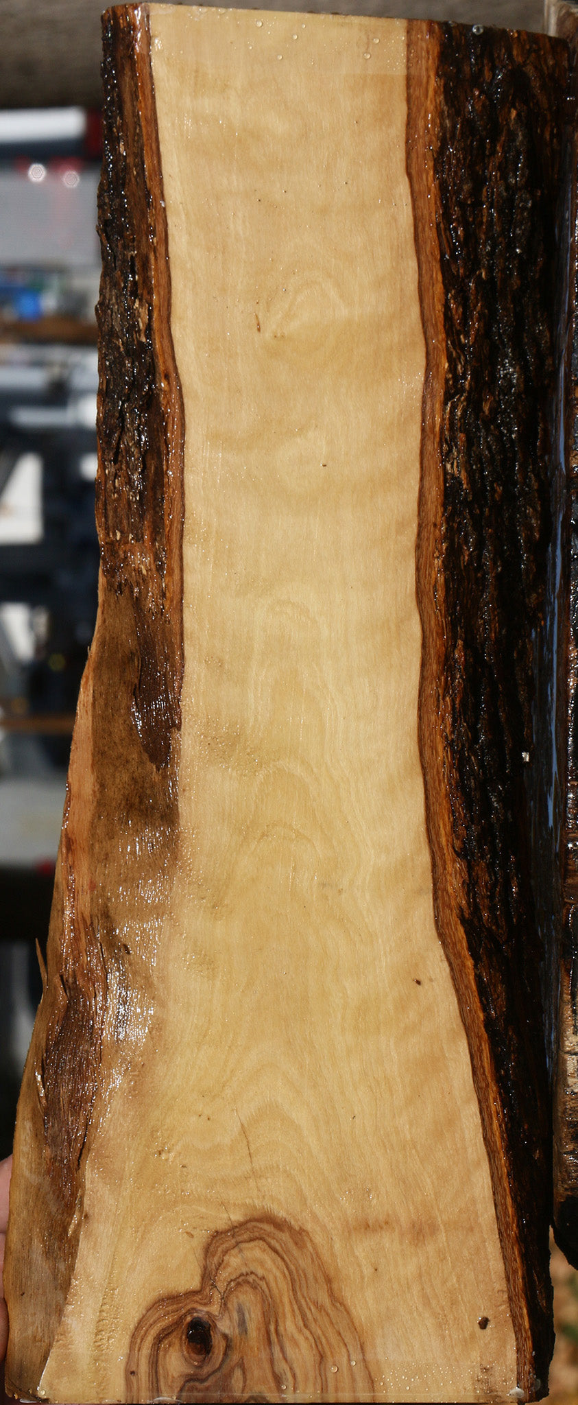 Figured African Olive Live Edge Lumber