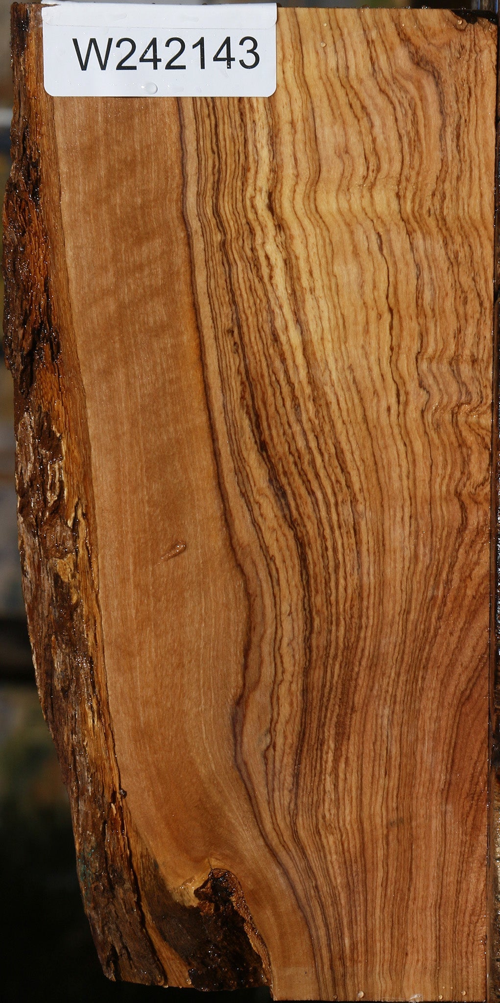 Figured African Olive Live Edge Lumber