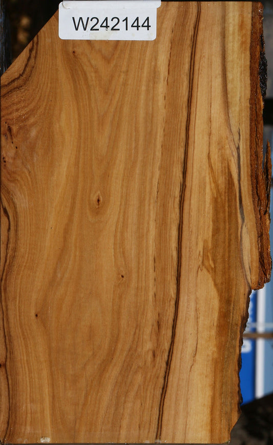 African Olive Live Edge Lumber