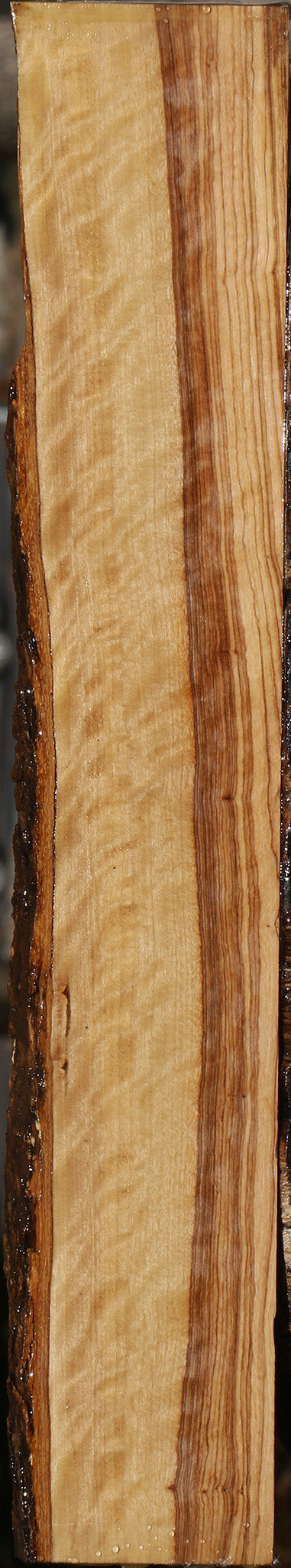 Figured African Olive Live Edge Lumber