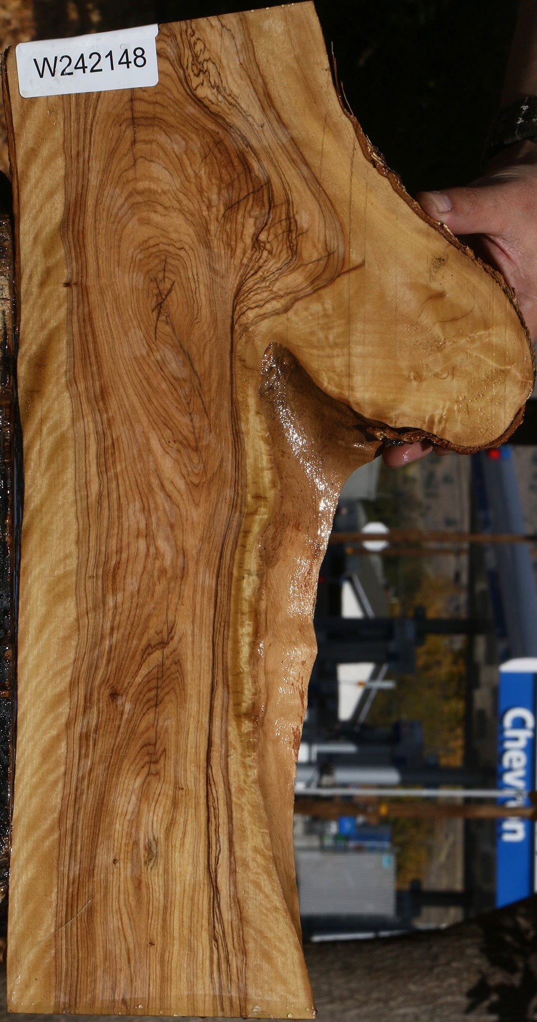 Figured African Olive Live Edge Lumber