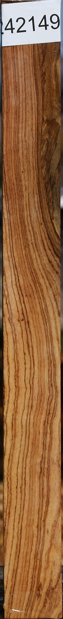 Extra Fancy African Olive Turning Square