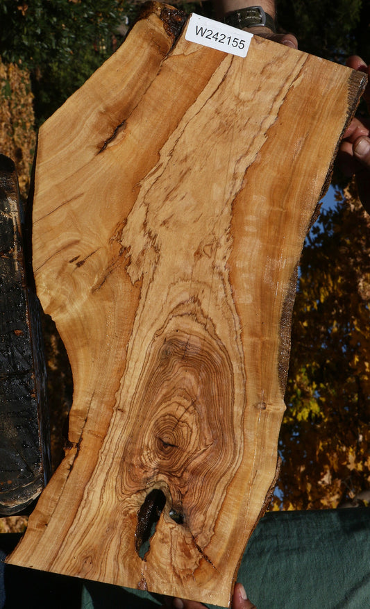 Figured African Olive Live Edge Lumber