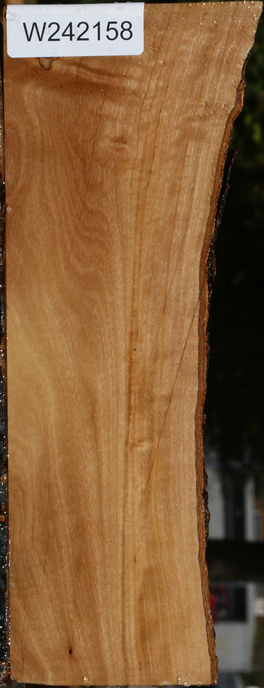 African Olive Live Edge Lumber