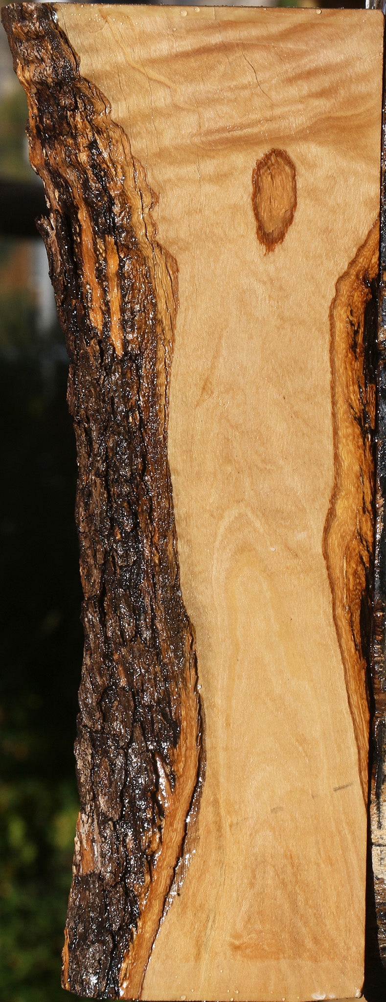 African Olive Live Edge Lumber