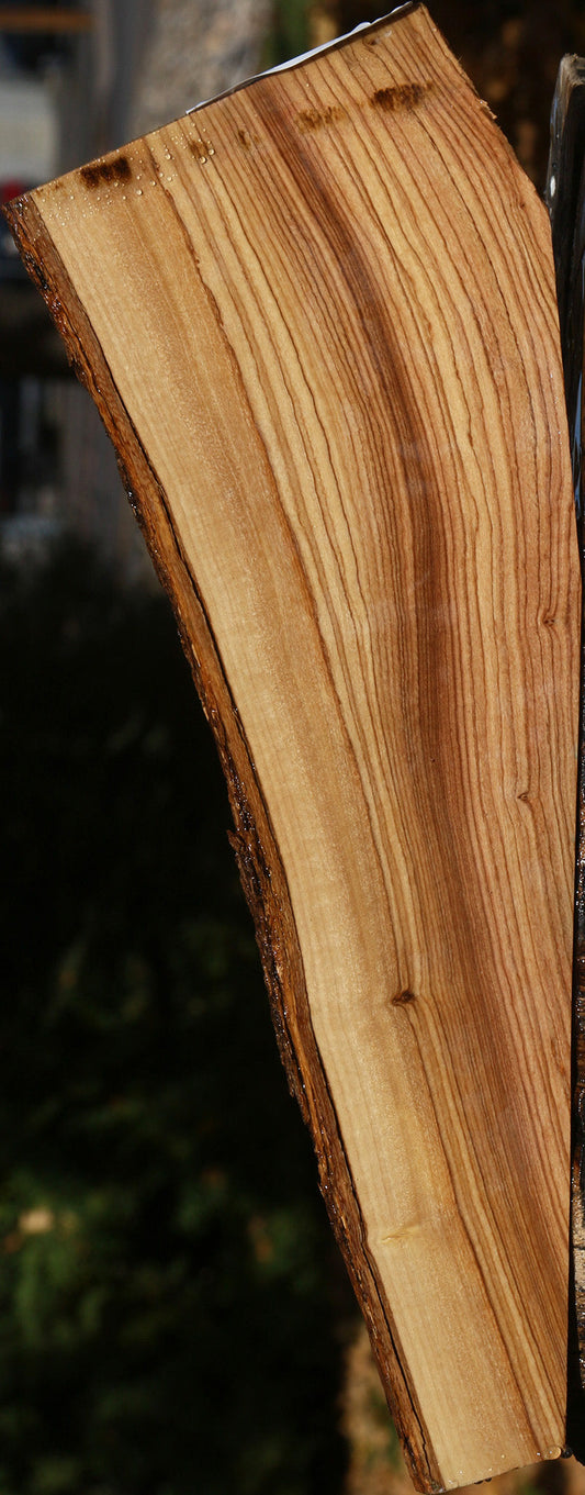 African Olive Live Edge Micro Lumber